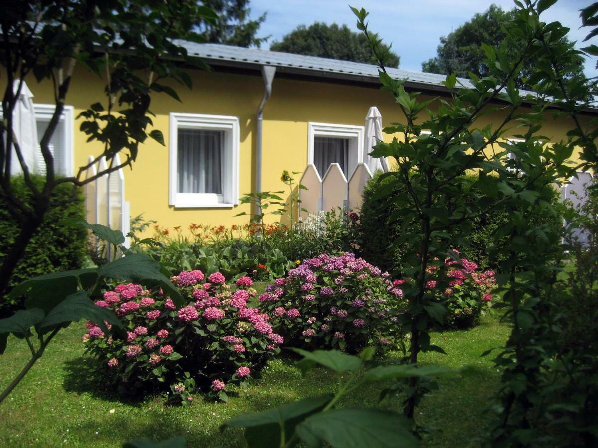 Haus Am Wald Lägenhet Heringsdorf  Exteriör bild